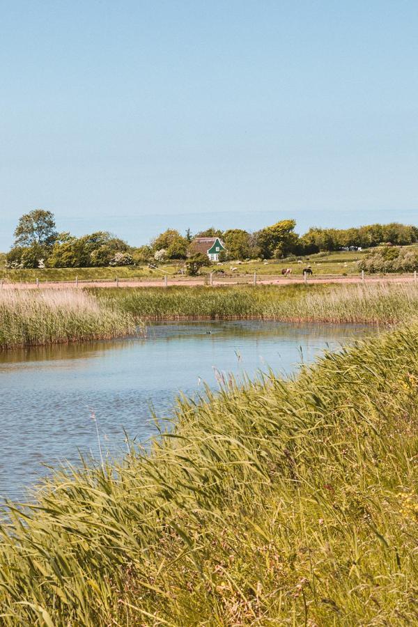 Bed and Breakfast Bed & Bakkie Het Lamsoor Texel 't Horntje Екстер'єр фото